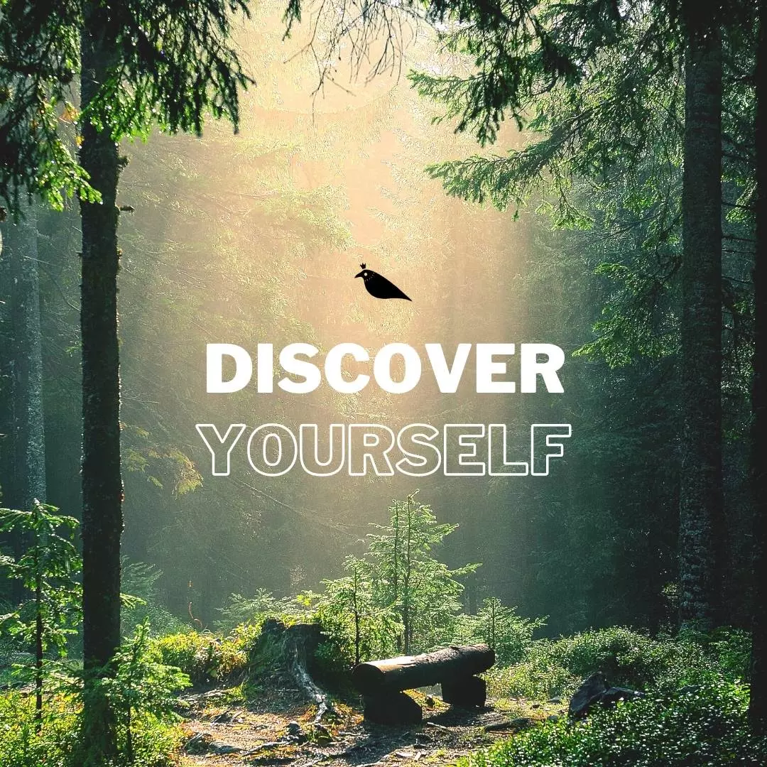 discover yourself quotes