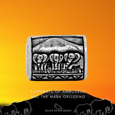 Elephants of Amboseli and the Mara crossing charm bead safari