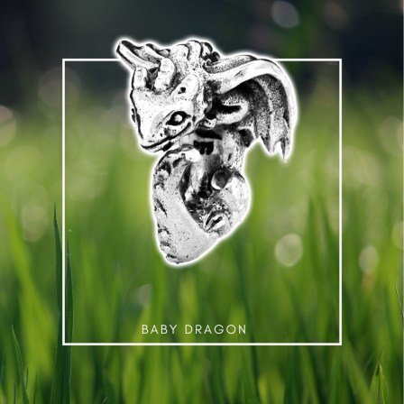 Baby Dragon