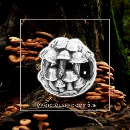 Magic Mushrooms 2.0 Charm Bead