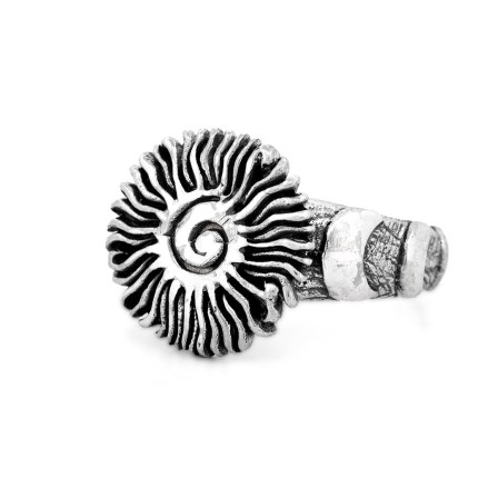 Summer solstice ring